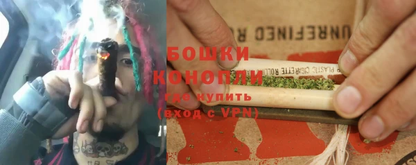 ПСИЛОЦИБИНОВЫЕ ГРИБЫ Алексеевка