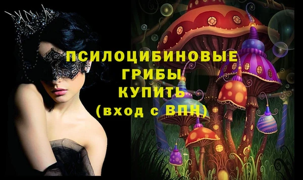 ПСИЛОЦИБИНОВЫЕ ГРИБЫ Алексеевка