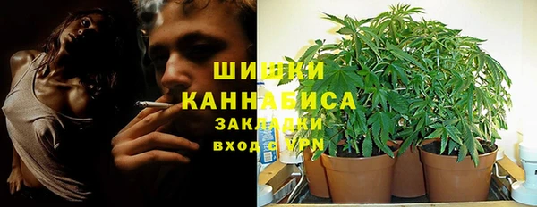 ПСИЛОЦИБИНОВЫЕ ГРИБЫ Алексеевка