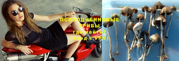 ECSTASY Алзамай