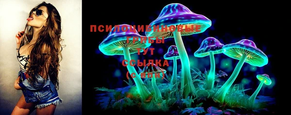 ПСИЛОЦИБИНОВЫЕ ГРИБЫ Алексеевка