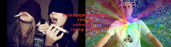 ECSTASY Алзамай